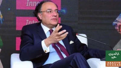 ترقی پذیر ممالک قرضوں کے بوجھ تلے دب گئے: وفاقی وزیر خزانہ