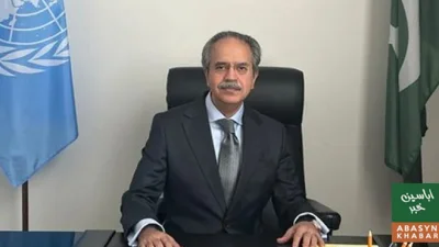 پاکستان جنگ کے خاتمے کے لیے مسلسل کوششیں کر رہا ہے: عاصم افتخار