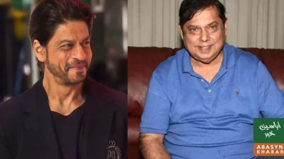 ڈیوڈ دھون نے شاہ رخ کےساتھ فلم نہ بنانے کی وجہ بتادی